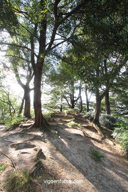 SPAIN CASTLES: VIGO CASTLE 