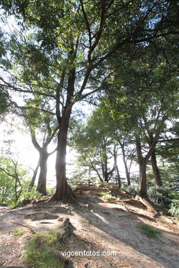 SPAIN CASTLES: VIGO CASTLE 