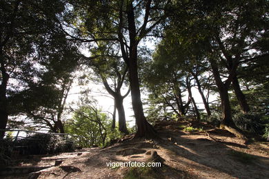 SPAIN CASTLES: VIGO CASTLE 