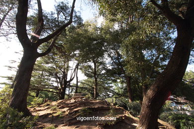 SPAIN CASTLES: VIGO CASTLE 