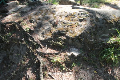 CASTILLOS DE ESPAÑA: REDUCTO DE SAN FELIPE. CASTILLO DEL CASTRO. SIGLO XVII