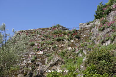 CASTILLOS DE GALICIA: SEGUNDA MURALLA CASTILLO DEL CASTRO. SIGLO XVII