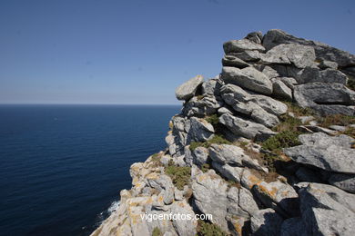 ACANTILADOS DE LAS ISLAS CÍES