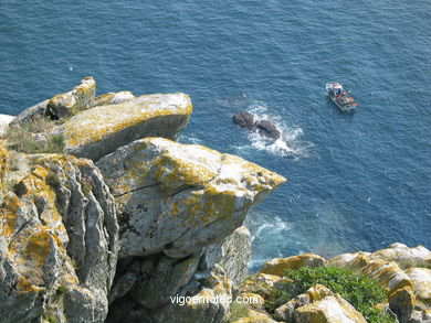 ACANTILADOS DE LAS ISLAS CÍES