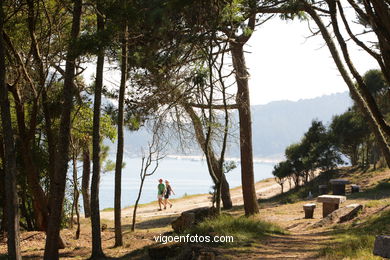 LOS BOSQUES DE LAS ISLAS CÍES