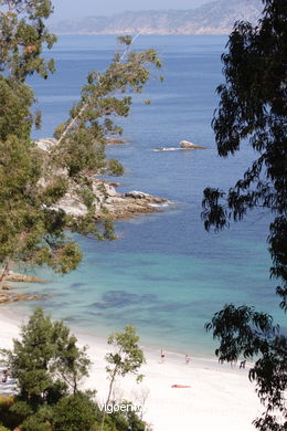 LOS BOSQUES DE LAS ISLAS CÍES