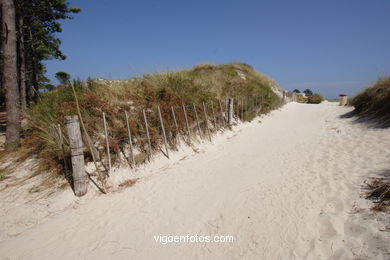 DUNE SYSTEM - CIES ISLANDS