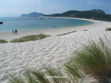 DUNE SYSTEM - CIES ISLANDS