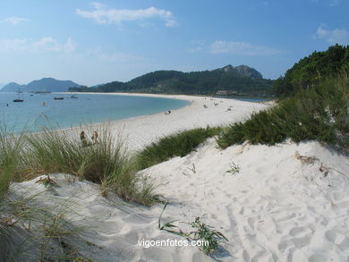 DUNAS DE LAS ISLAS CÍES