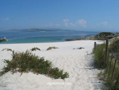 DUNE SYSTEM - CIES ISLANDS