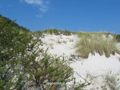 DUNAS DE LAS ISLAS CÍES