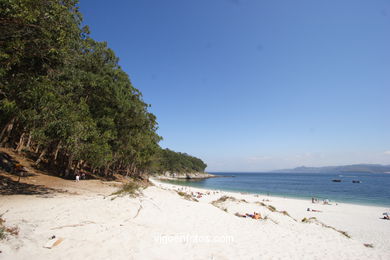 PLAYA FIGUEIRAS (ALEMANES). ISLAS CIES