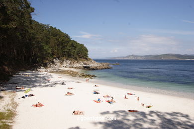 PLAYA FIGUEIRAS (ALEMANES). ISLAS CIES