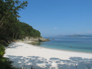 PLAYA FIGUEIRAS (ALEMANES). ISLAS CIES