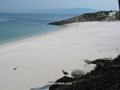 PLAYA FIGUEIRAS (ALEMANES). ISLAS CIES