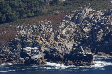 SOUTH ISLAND OR OF SAN MARTIÑO - CIES ISLANDS