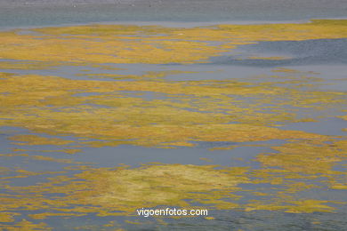 THE LAKE OF  THE CHILDREN - CIES ISLANDS