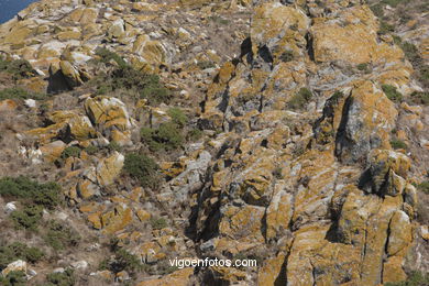 THE ROCKY COAST - CIES ISLANDS