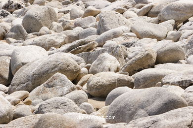 THE ROCKY COAST - CIES ISLANDS