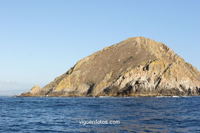 LITORAL ROCOSO - ISLAS CÍES