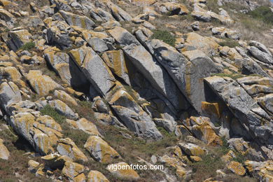 THE ROCKY COAST - CIES ISLANDS