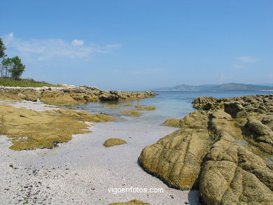 PLAYA MARGARIDAS. ISLAS CIES