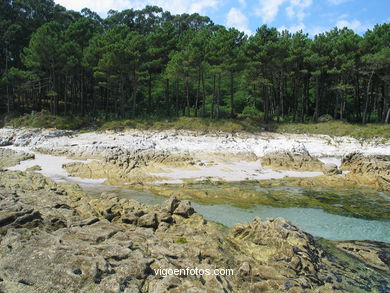 PLAYA MARGARIDAS. ISLAS CIES