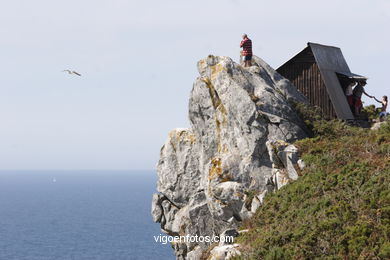 OBSERVATORIES OF BIRDS - CIES ISLANDS