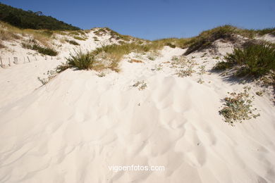 PLAYA DE RODAS. ISLAS CIES