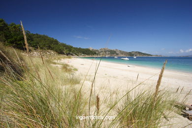 PRAIA DE SAN MARTIÑO. ILHAS CIES