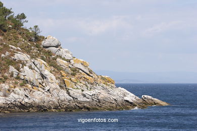 VISTAS DE LAS CÍES