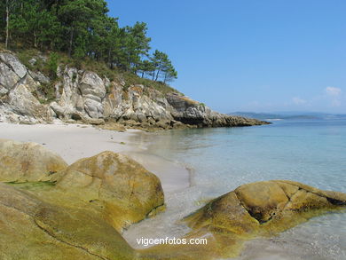 LANDSCAPES OF CIES