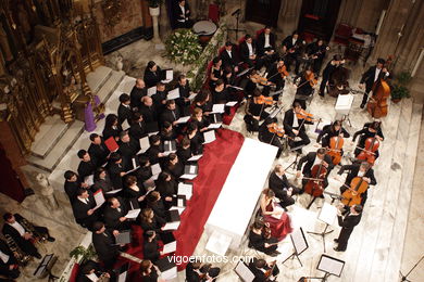 SINFONIETA DE VIGO Y CAMERATA AD LIBITUM