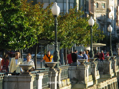 RUA ALFONSO XII EM VIGO