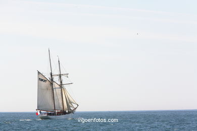 REGATA EN VIGO. DESAFÍO ATLÁNTICO DE GRANDES VELEROS - REGATA CUTTY SARK. 2009 - TALL SHIPS ATLANTIC CHALLENGE 2009