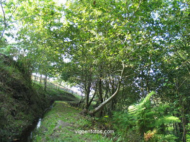 MOLINOS DE ÁGUA DE GONTADE