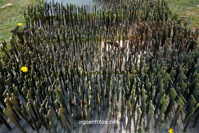 NATUREZA CON ARTE. EXPOSICIÓN DE ESCULTURA JARDÍNS PAZO QUIÑONES DE LEÓN (CASTRELOS) VIGO. 