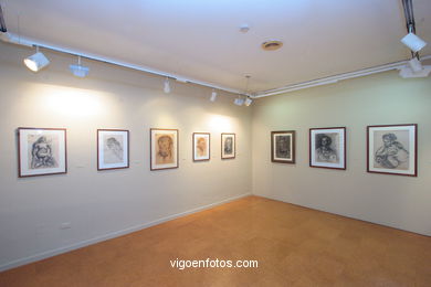 LAXEIRO ART COLLECTION - HOUSE OF THE ARTS - VIGO - SPAIN