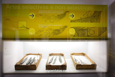 OCEANOGRAFÍA Y ACUICULTURA. MUSEO DO MAR. GALICIA.