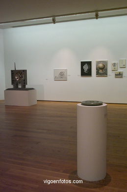 EXPOSIÇÃO CARDINALES - MUSEU MARCO