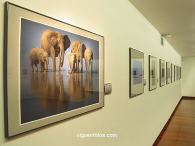 SALAS DE EXPOSIÇÃO CAIXANOVA