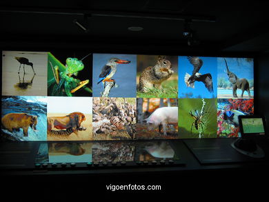 NATURNOVA - INTERACTIVE CENTER OF ENVIRONMENTAL EDUCATION CAIXANOVA