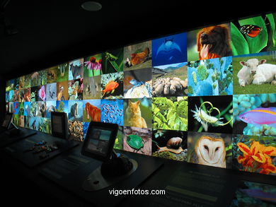 NATURNOVA - INTERACTIVE CENTER OF ENVIRONMENTAL EDUCATION CAIXANOVA