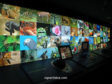 NATURNOVA - INTERACTIVE CENTER OF ENVIRONMENTAL EDUCATION CAIXANOVA