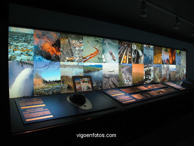 NATURNOVA - CENTRO INTERACTIVO DE EDUCACIÓN MEDIOAMBIENTAL NOVACAIXAGALICIA  (CAIXANOVA)