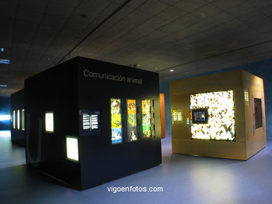 MUSEU VERBUM - EXPOSIÇÃO PERMANENTE