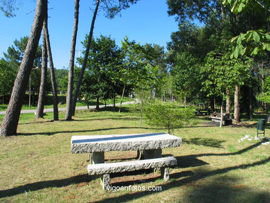 PARQUE FLORESTAL DE BANDEIRA