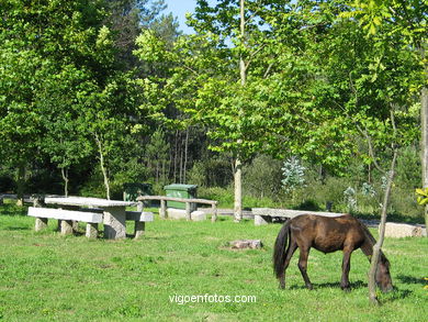 NATURE PARK OF BANDEIRA