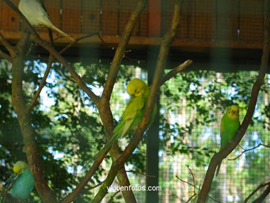 PARQUE FORESTAL DE BEADE