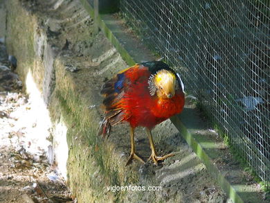 PARQUE FLORESTAL DE BEADE